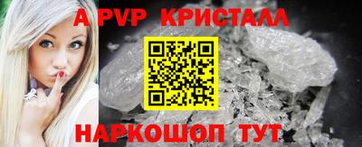 стафф Моздок