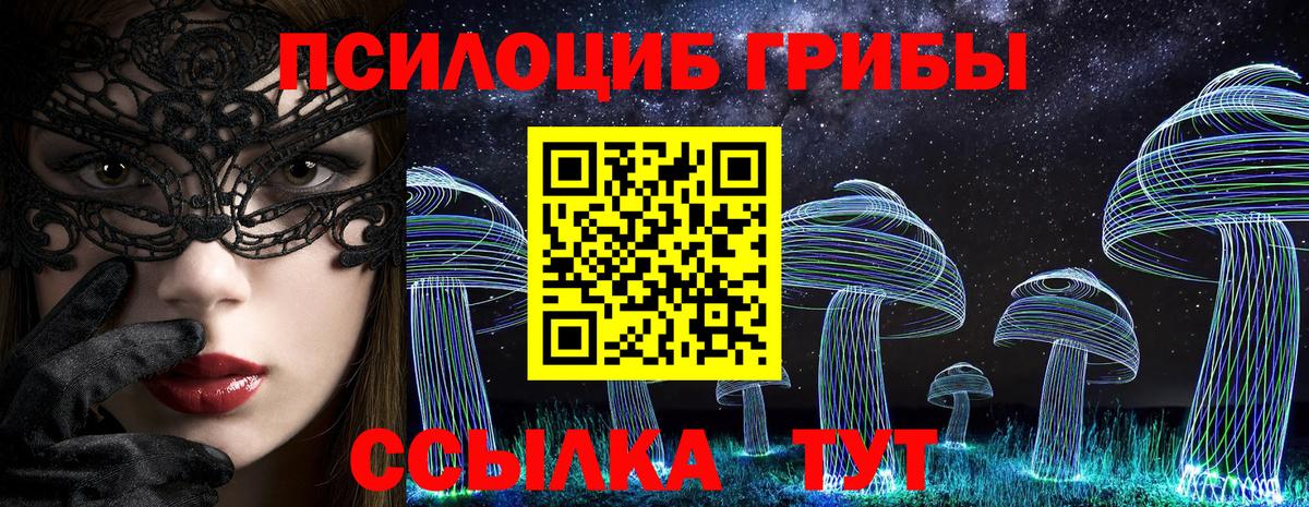 Псилоцибиновые грибы Cubensis Дивногорск